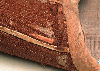 Photo-Detail of reed